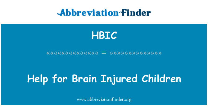 Help for Brain Injured Children的定义