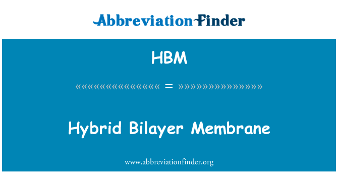 杂化双层膜英文定义是Hybrid Bilayer Membrane,首字母缩写定义是HBM