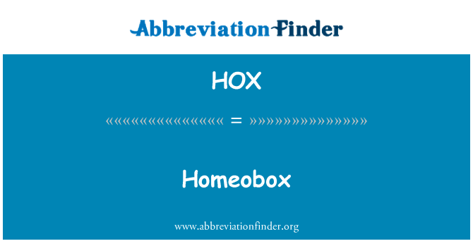 Homeobox的定义