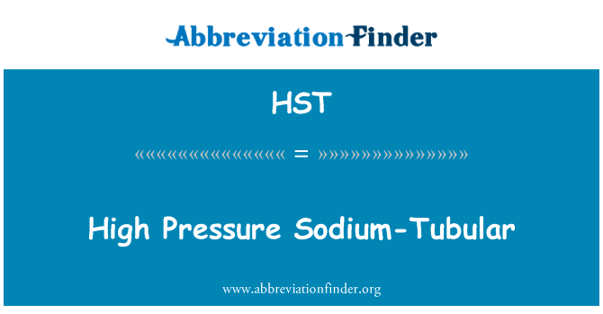 高压钠管状英文定义是High Pressure Sodium-Tubular,首字母缩写定义是HST