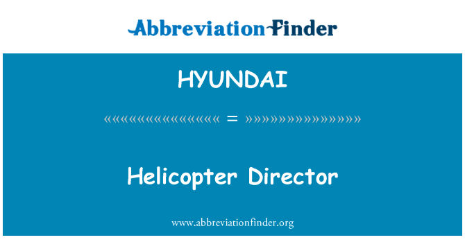 Helicopter Director的定义