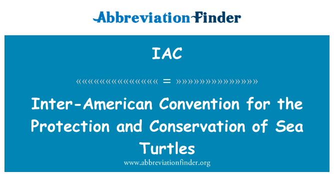Inter-American Convention for the Protection and Conservation of Sea Turtles的定义