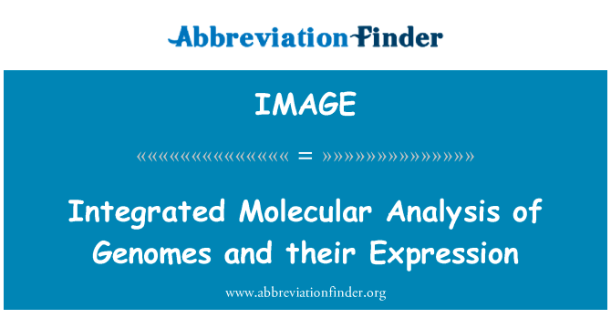综合分子基因组分析及表达英文定义是Integrated Molecular Analysis of Genomes and their Expression,首字母缩写定义是IMAGE