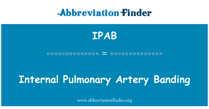 内部的肺动脉环志英文定义是Internal Pulmonary Artery Banding,首字母缩写定义是IPAB