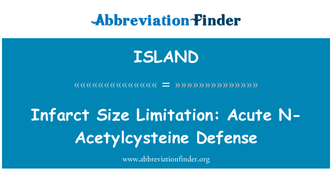 Infarct Size Limitation: Acute N-Acetylcysteine Defense的定义