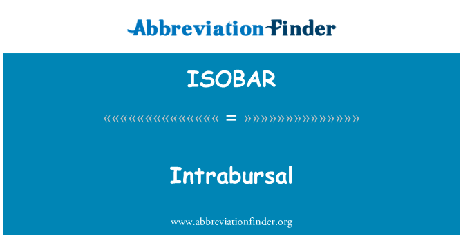 Intrabursal的定义