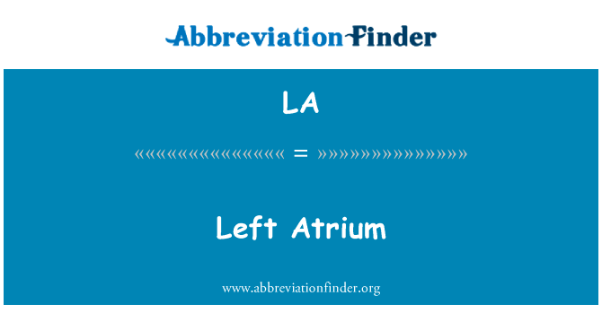 Left Atrium的定义