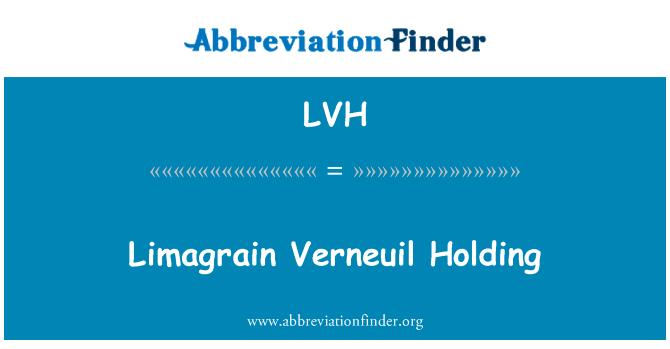 Limagrain Verneuil Holding的定义