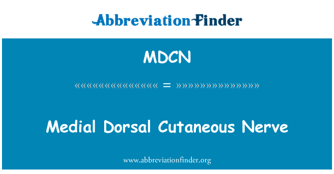 Medial Dorsal Cutaneous Nerve的定义