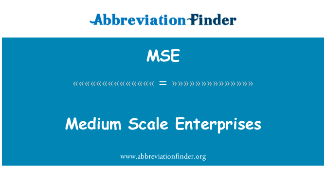 中小型企业英文定义是Medium Scale Enterprises,首字母缩写定义是MSE