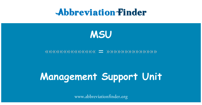 Management Support Unit的定义
