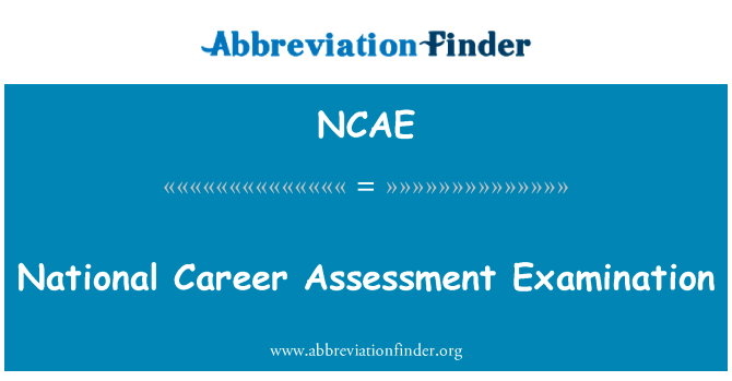 National Career Assessment Examination的定义