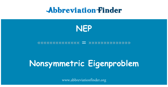 Nonsymmetric Eigenproblem的定义