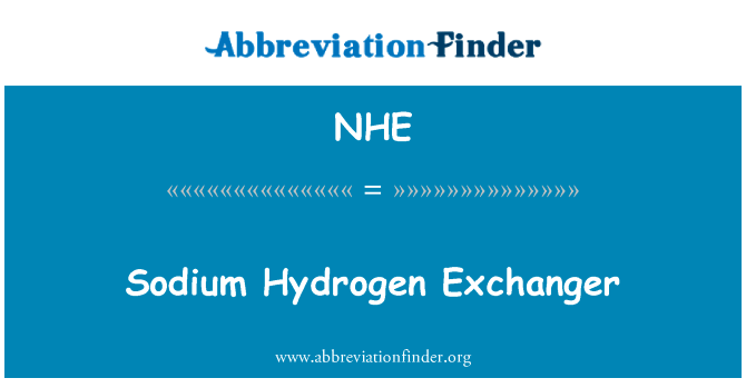 钠氢交换器英文定义是Sodium Hydrogen Exchanger,首字母缩写定义是NHE