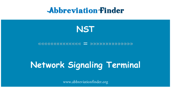 网络信号终端英文定义是Network Signaling Terminal,首字母缩写定义是NST