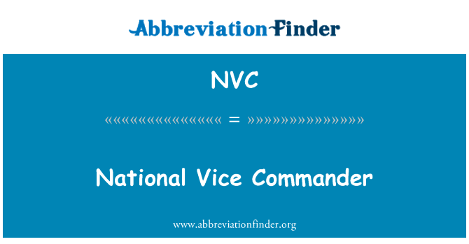 National Vice Commander的定义