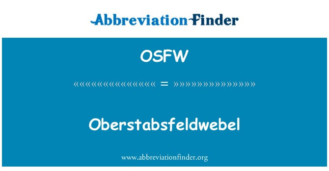 Oberstabsfeldwebel的定义