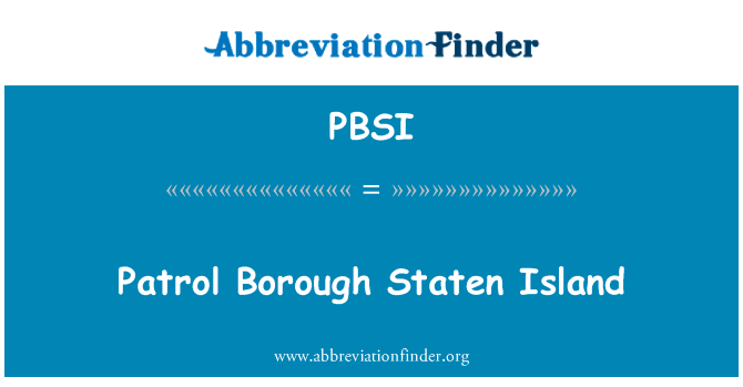Patrol Borough Staten Island的定义