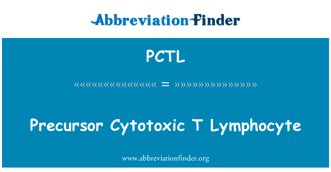 前驱细胞毒性 T 淋巴细胞英文定义是Precursor Cytotoxic T Lymphocyte,首字母缩写定义是PCTL