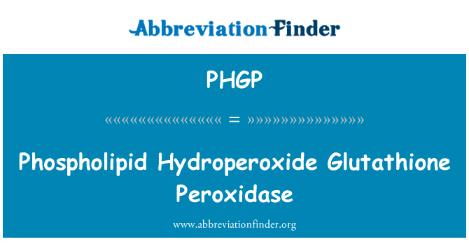 磷脂氢谷胱甘肽过氧化物酶英文定义是Phospholipid Hydroperoxide Glutathione Peroxidase,首字母缩写定义是PHGP