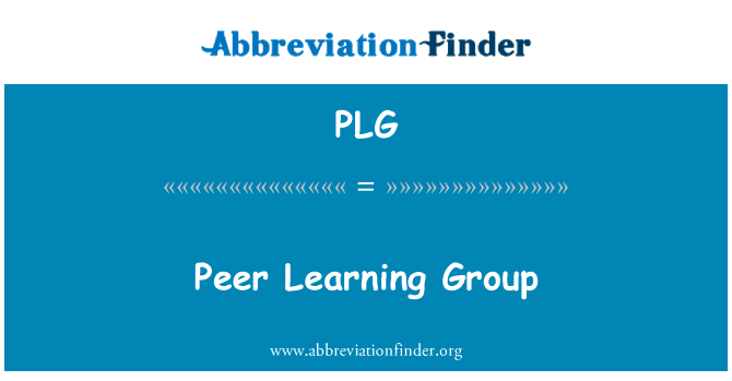 Peer Learning Group的定义