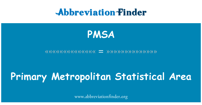 Primary Metropolitan Statistical Area的定义