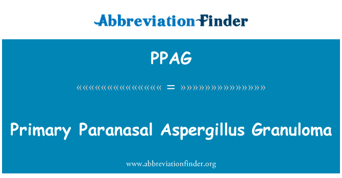 Primary Paranasal Aspergillus Granuloma的定义