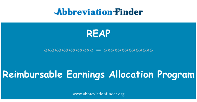 Reimbursable Earnings Allocation Program的定义