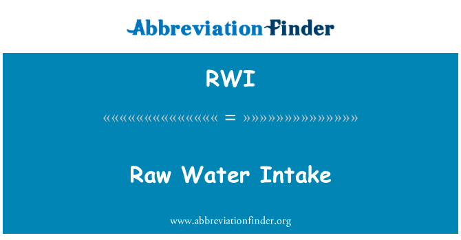 Raw Water Intake的定义