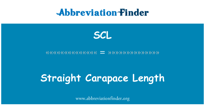Straight Carapace Length的定义