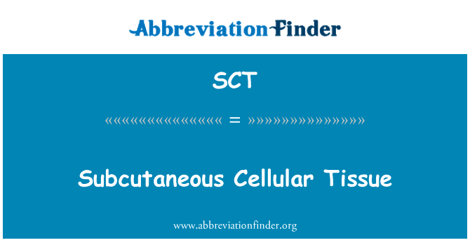 皮下脂肪细胞组织英文定义是Subcutaneous Cellular Tissue,首字母缩写定义是SCT