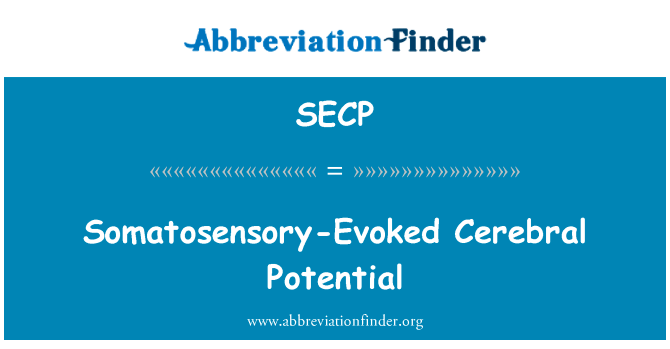 体感诱发电位的脑电位英文定义是Somatosensory-Evoked Cerebral Potential,首字母缩写定义是SECP