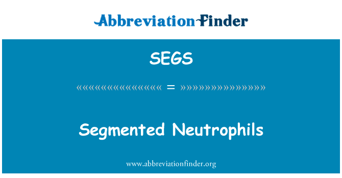 Segmented Neutrophils的定义