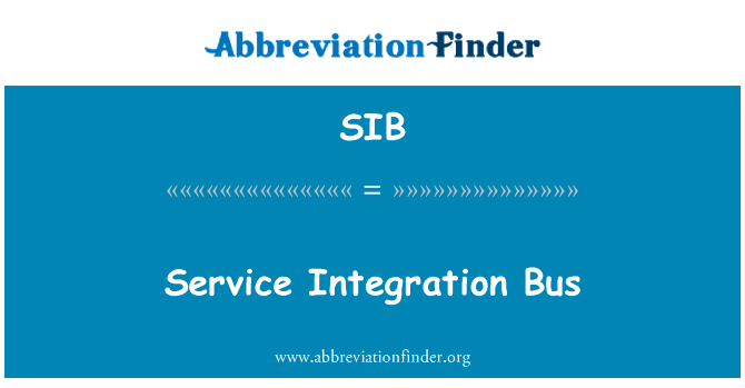Service Integration Bus的定义