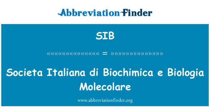 Societa Italiana di Biochimica e Biologia Molecolare的定义