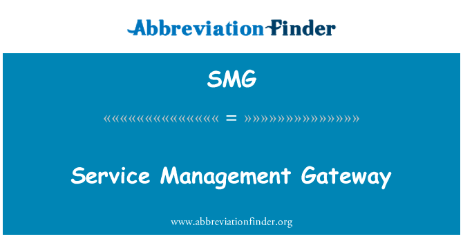 服务管理网关英文定义是Service Management Gateway,首字母缩写定义是SMG
