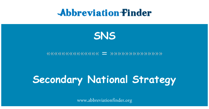 次要的国家战略英文定义是Secondary National Strategy,首字母缩写定义是SNS
