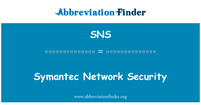 Symantec Network Security的定义