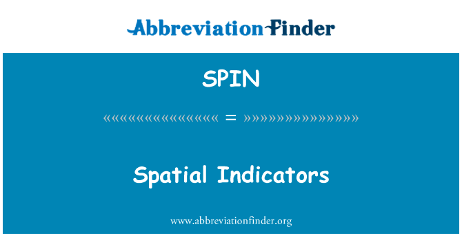 Spatial Indicators的定义