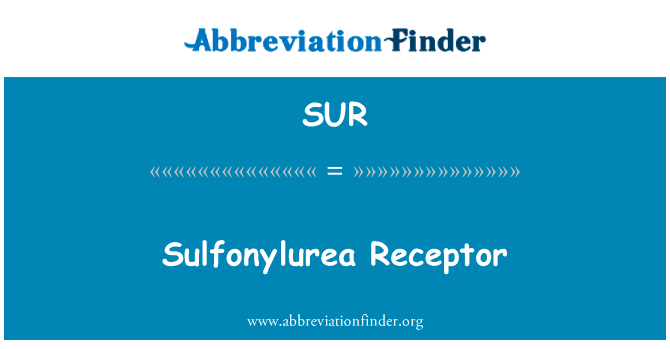 Sulfonylurea Receptor的定义