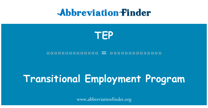 过渡就业计划英文定义是Transitional Employment Program,首字母缩写定义是TEP
