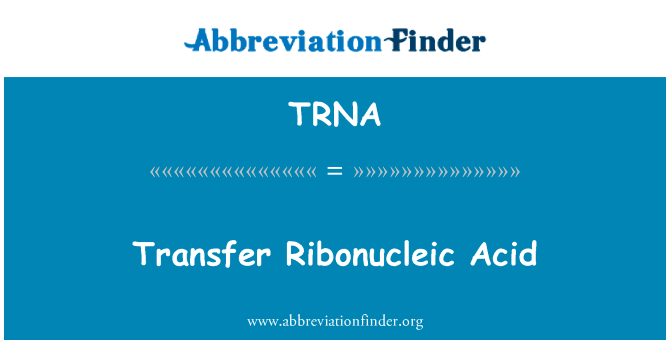 转移核糖核酸英文定义是Transfer Ribonucleic Acid,首字母缩写定义是TRNA