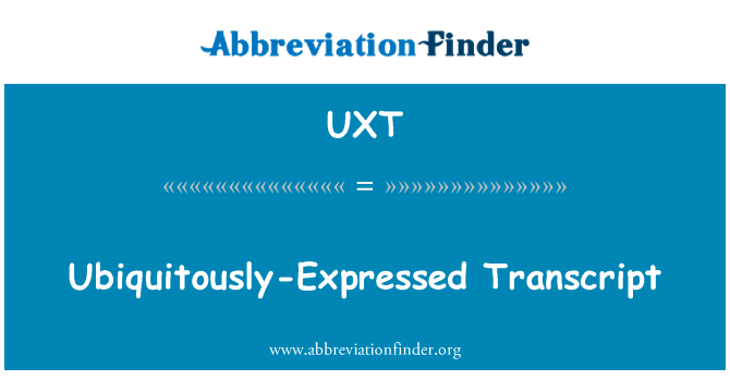 无所不在表示谈话全文英文定义是Ubiquitously-Expressed Transcript,首字母缩写定义是UXT