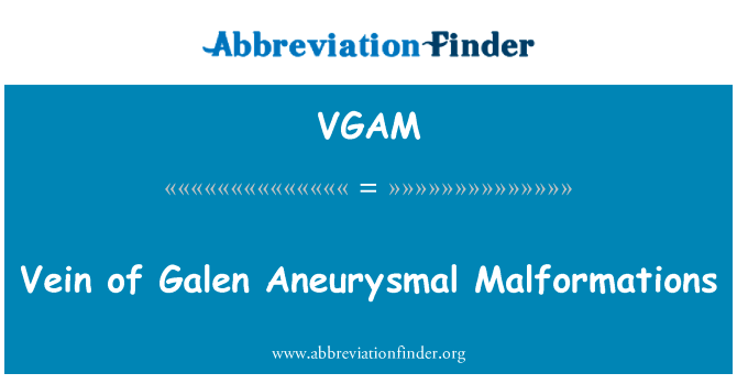 Vein of Galen Aneurysmal Malformations的定义