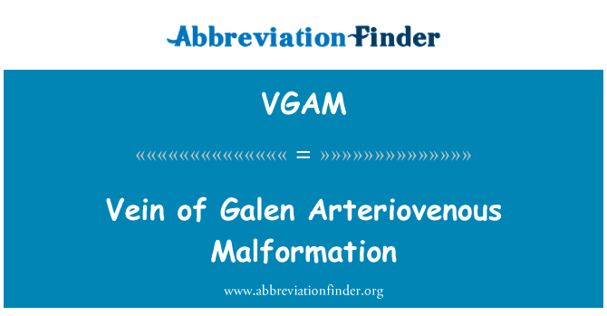 Vein of Galen Arteriovenous Malformation的定义