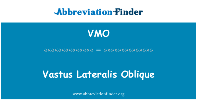 Vastus Lateralis Oblique的定义