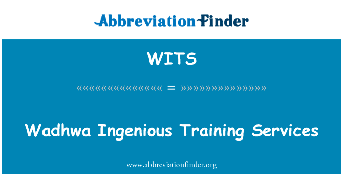 Wadhwa 巧妙培训服务英文定义是Wadhwa Ingenious Training Services,首字母缩写定义是WITS
