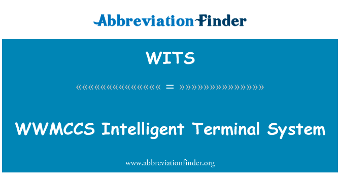 WWMCCS 智能终端系统英文定义是WWMCCS Intelligent Terminal System,首字母缩写定义是WITS