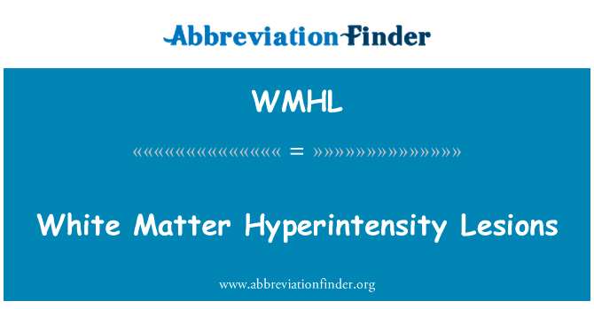 White Matter Hyperintensity Lesions的定义