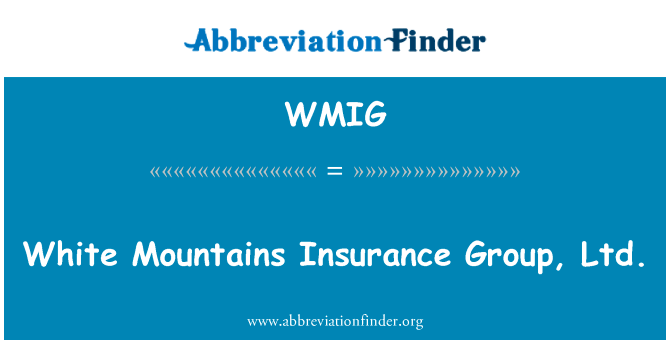 怀特山脉保险 （集团） 有限公司英文定义是White Mountains Insurance Group, Ltd.,首字母缩写定义是WMIG